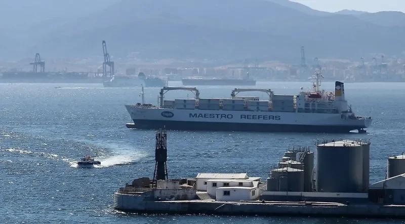ICE GRACE General Cargo IMO 8706777 photo 4