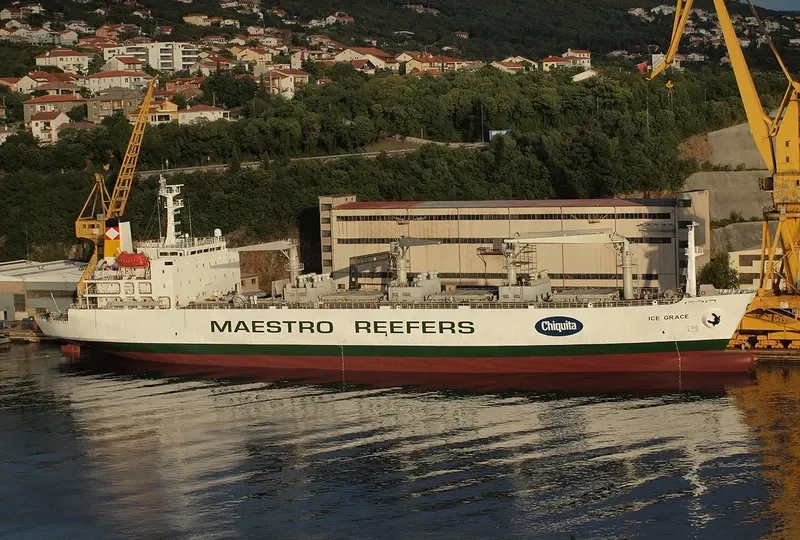 ICE GRACE General Cargo IMO 8706777 photo 6
