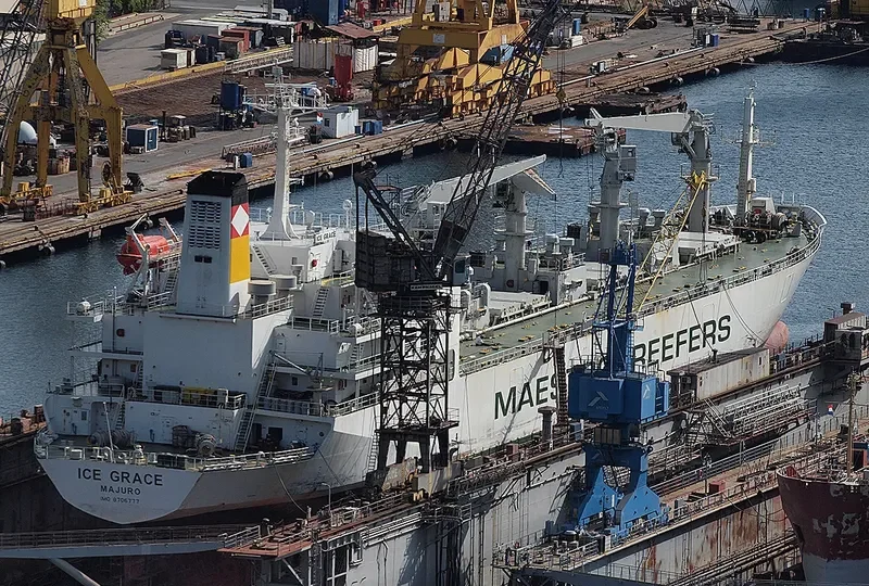 ICE GRACE General Cargo IMO 8706777 photo 7