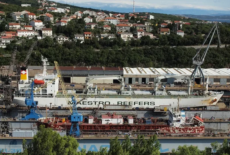 ICE GRACE General Cargo IMO 8706777 photo 8