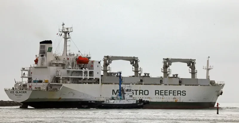 ICE GLACIER General Cargo IMO 8706789 photo 8