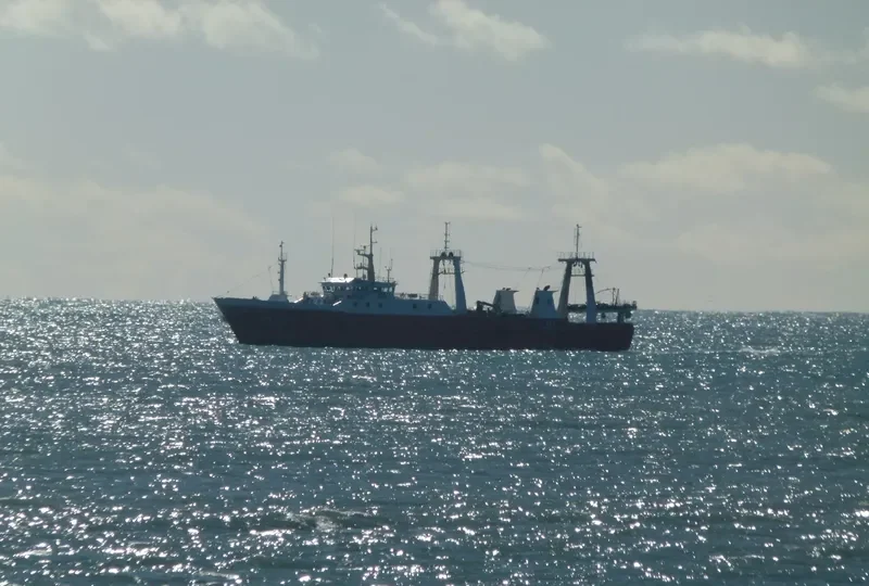 GEMINIS General Cargo IMO 8709509