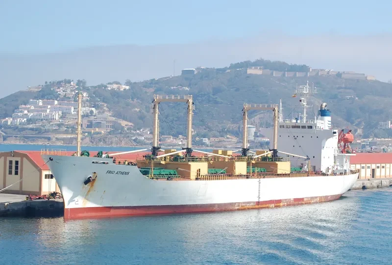 FRIO ATHENS General Cargo IMO 8710340 photo 8