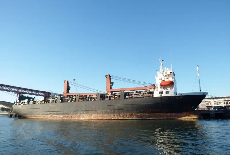AGAT General Cargo IMO 8710687 photo 2