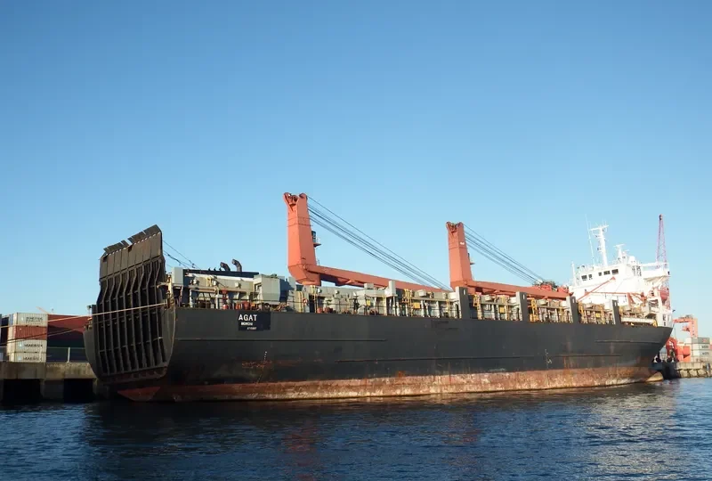 AGAT General Cargo IMO 8710687 photo 3