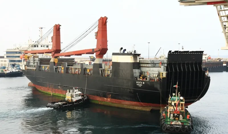 AGAT General Cargo IMO 8710687 photo 8