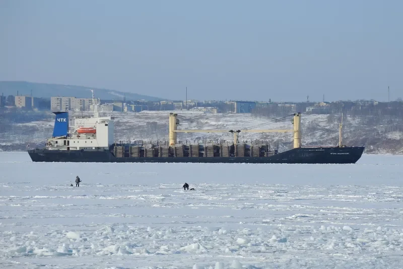 IGOR ILINSKIY General Cargo IMO 8711253 photo 2