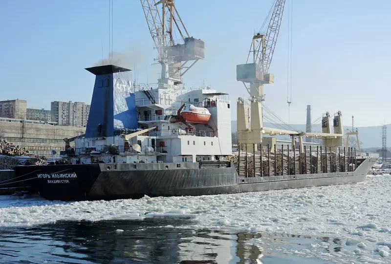 IGOR ILINSKIY General Cargo IMO 8711253 photo 3