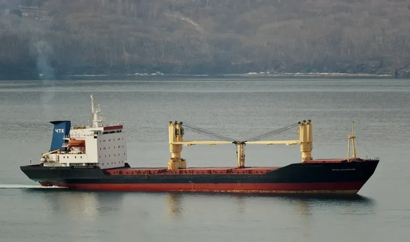 IGOR ILINSKIY General Cargo IMO 8711253 photo 7