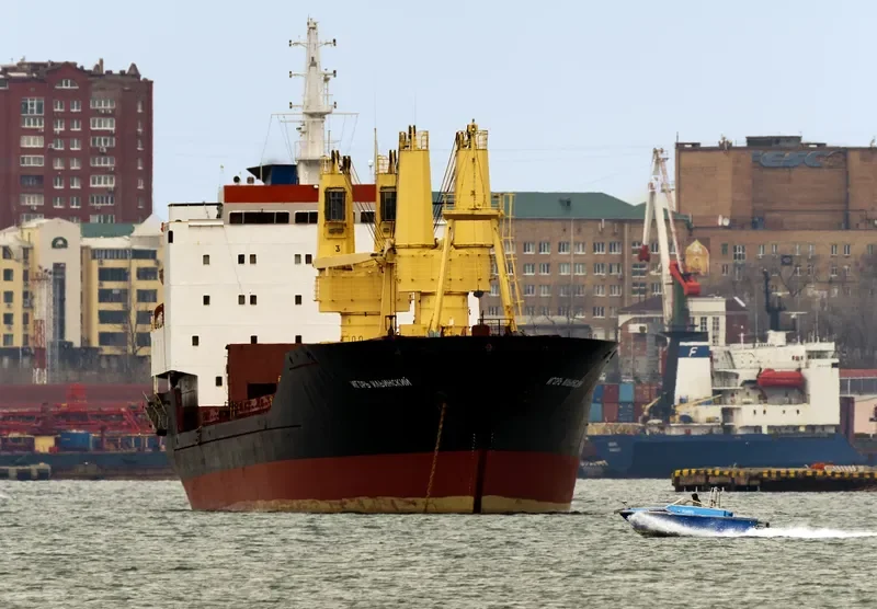 IGOR ILINSKIY General Cargo IMO 8711253 photo 8