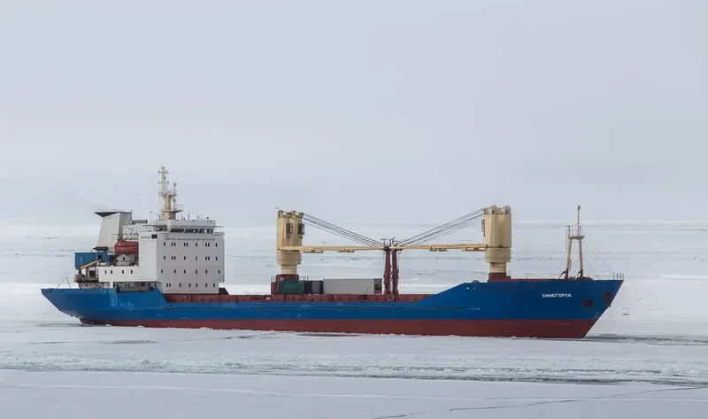 SINEGORSK General Cargo IMO 8711291