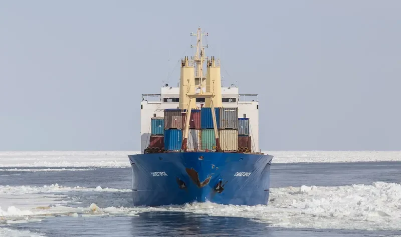 SINEGORSK General Cargo IMO 8711291 photo 2