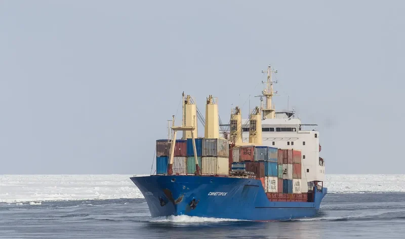 SINEGORSK General Cargo IMO 8711291 photo 3