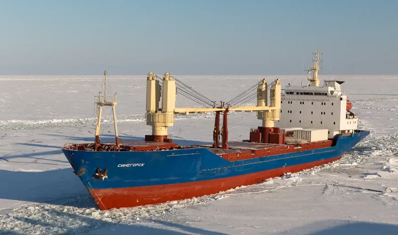 SINEGORSK General Cargo IMO 8711291 photo 5