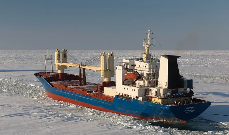 SINEGORSK General Cargo IMO 8711291 photo 6