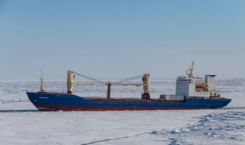 SINEGORSK General Cargo IMO 8711291 photo 7