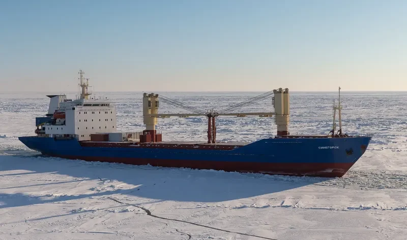 SINEGORSK General Cargo IMO 8711291 photo 8
