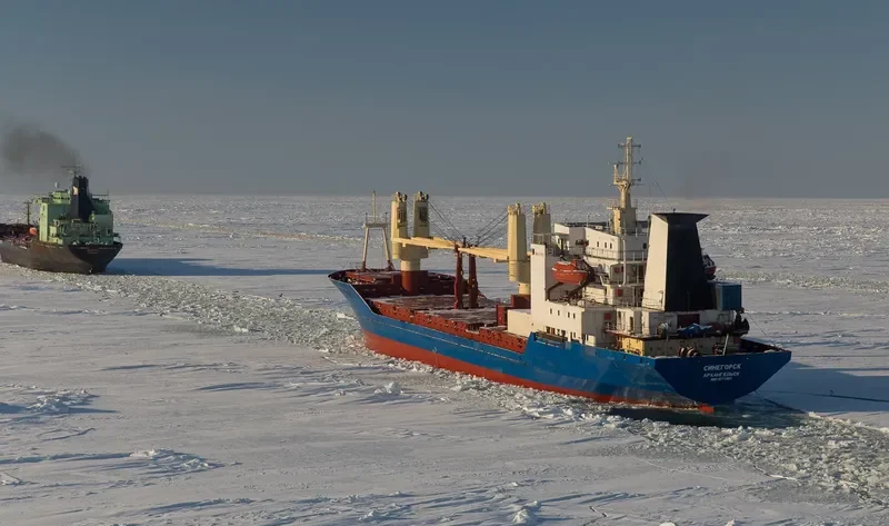 SINEGORSK General Cargo IMO 8711291 photo 9