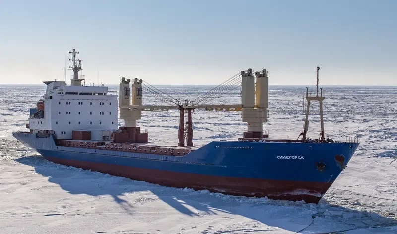 SINEGORSK General Cargo IMO 8711291 photo 10