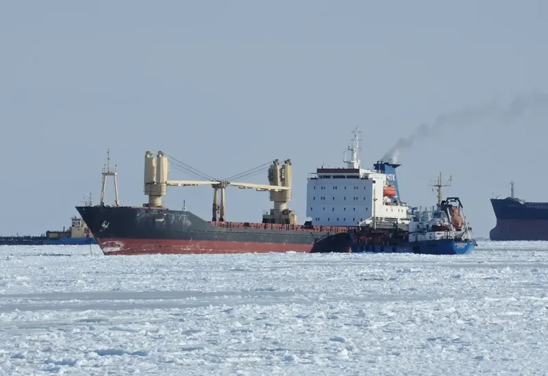 TANIR General Cargo IMO 8711318 photo 5