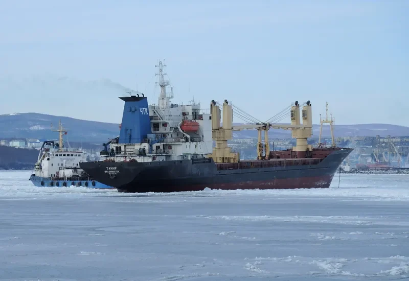 TANIR General Cargo IMO 8711318 photo 7