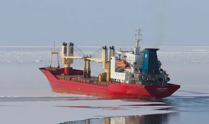 POLAR KING General Cargo IMO 8711320 photo 2