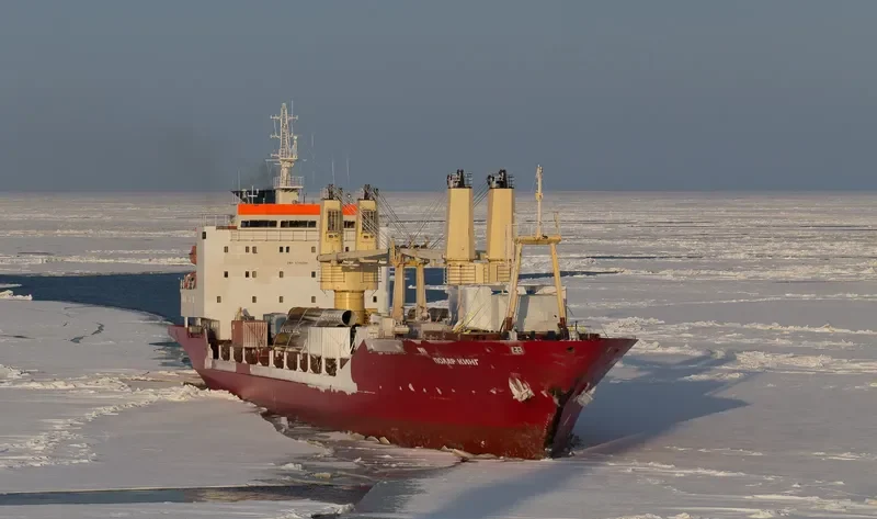 POLAR KING General Cargo IMO 8711320 photo 3