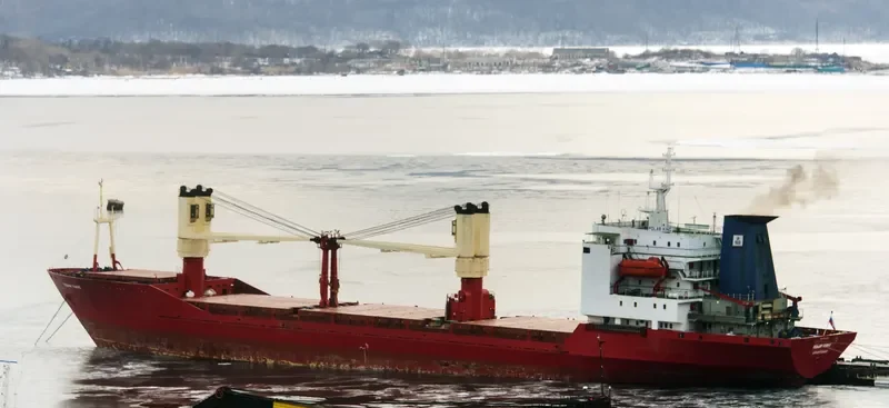 POLAR KING General Cargo IMO 8711320 photo 8