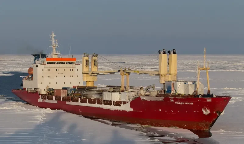POLAR KING General Cargo IMO 8711320 photo 9