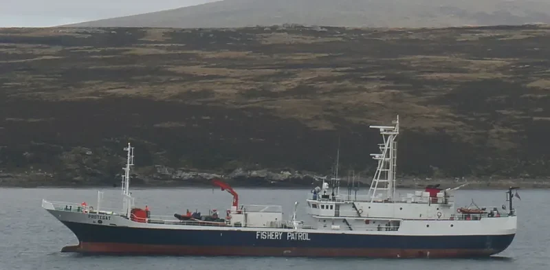 PROTEGAT Ro-Ro IMO 8712661