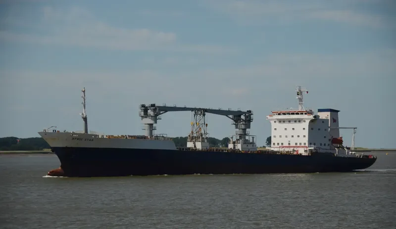 CHENG HANG General Cargo IMO 8713562 photo 5