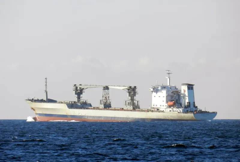 CHENG HANG General Cargo IMO 8713562 photo 10