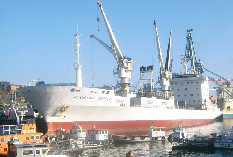 PISANG General Cargo IMO 8713598