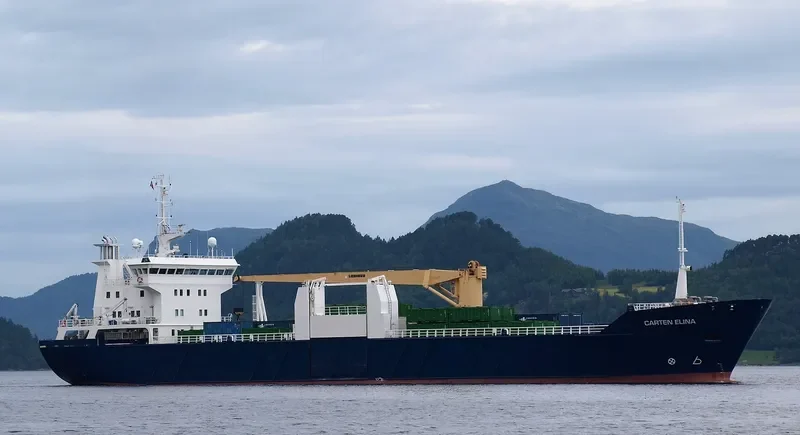 CARTEN ELINA General Cargo IMO 8713653 photo 10