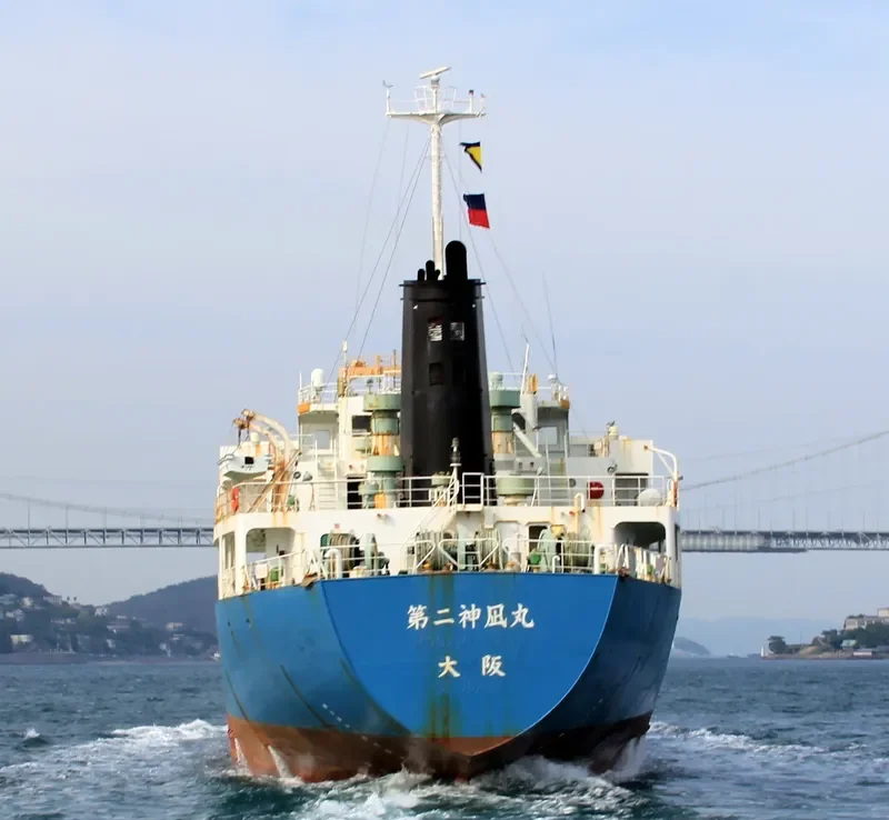 ROYAL PEACE General Cargo IMO 8713990 photo 4
