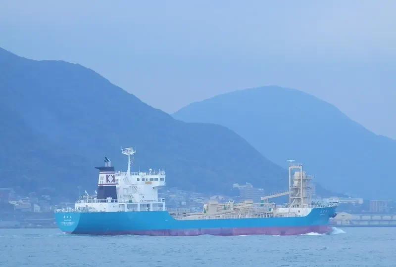 ROYAL PEACE General Cargo IMO 8713990 photo 6