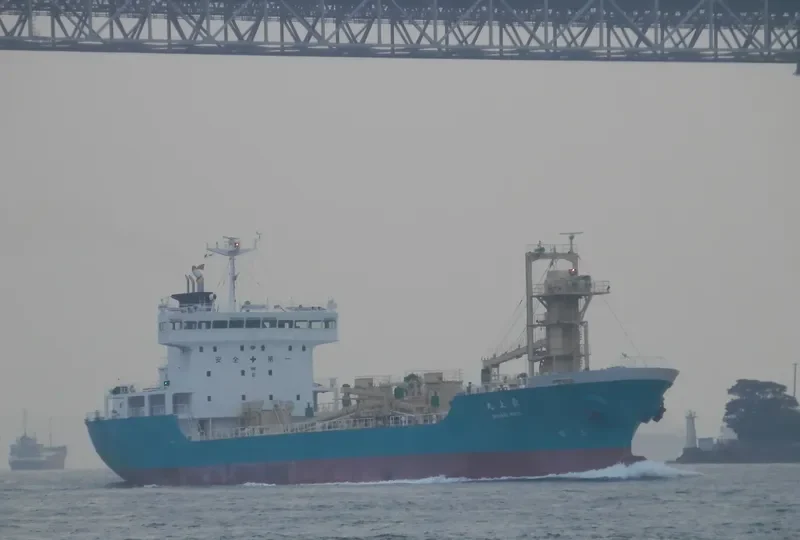ROYAL PEACE General Cargo IMO 8713990 photo 8