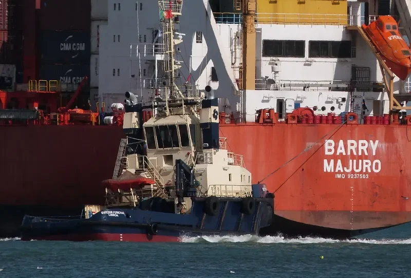 BSV PORTUGALIA General Cargo IMO 8714255 photo 6