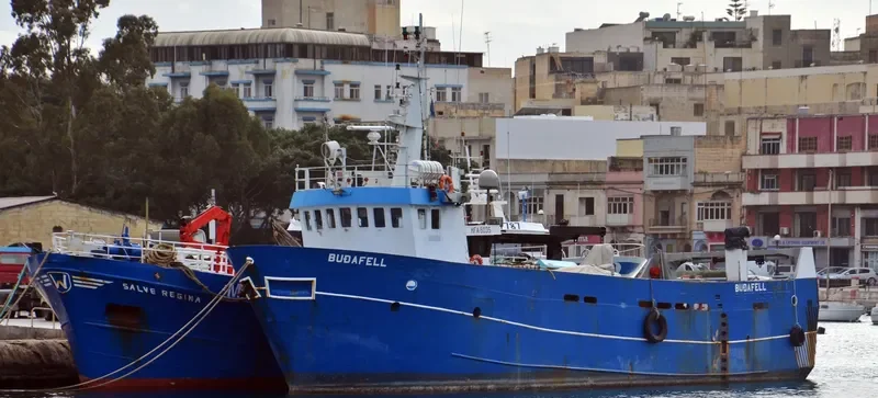 BUDAFELL General Cargo IMO 8714372 photo 2