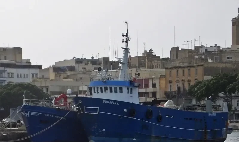 BUDAFELL General Cargo IMO 8714372 photo 3