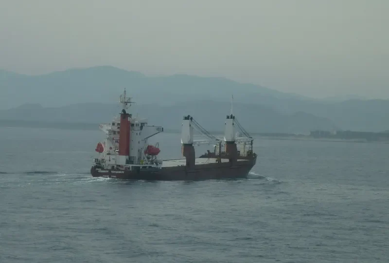 GENNADY TSYGANKOV General Cargo IMO 8714669 photo 7