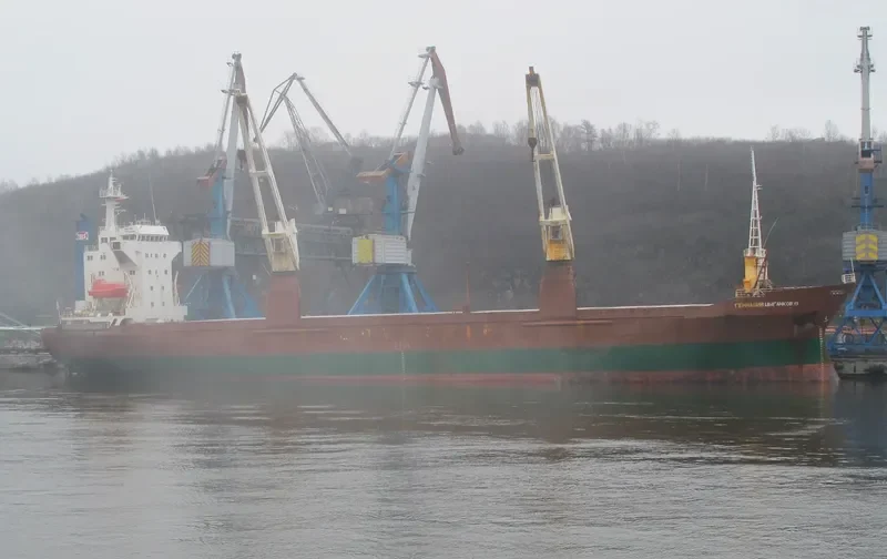 GENNADY TSYGANKOV General Cargo IMO 8714669 photo 8