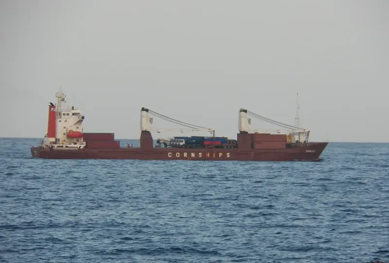 GENNADY TSYGANKOV General Cargo IMO 8714669 photo 10
