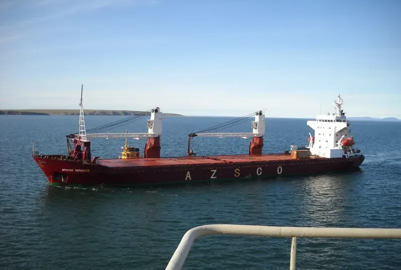 ARKADIY CHERNYSHEV General Cargo IMO 8714695 photo 2