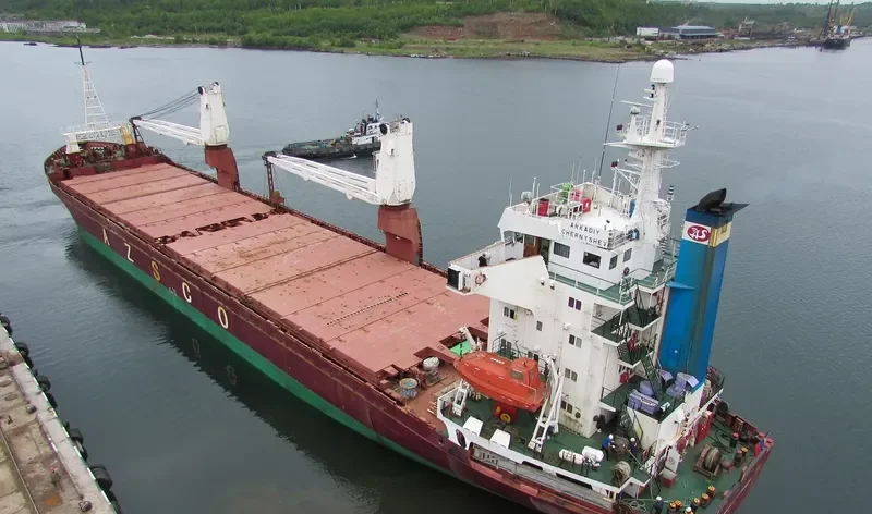 ARKADIY CHERNYSHEV General Cargo IMO 8714695 photo 3