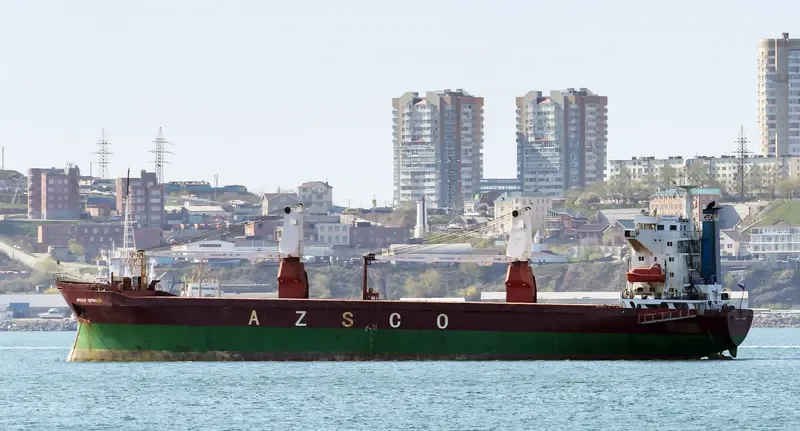 ARKADIY CHERNYSHEV General Cargo IMO 8714695 photo 5