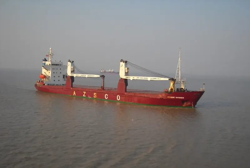 ARKADIY CHERNYSHEV General Cargo IMO 8714695 photo 6