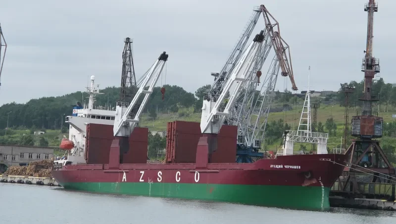 ARKADIY CHERNYSHEV General Cargo IMO 8714695 photo 8