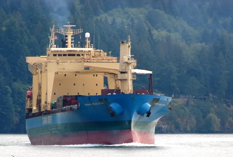 PEARL BRIDGE General Cargo IMO 8714918 photo 2