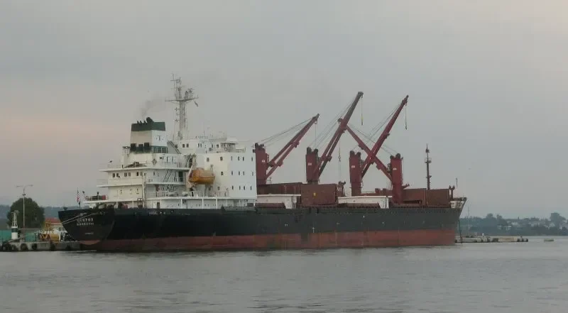 ARKTOS Bulk Carrier IMO 8715821 photo 3